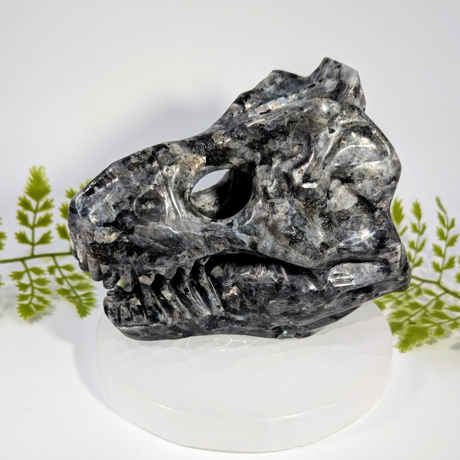 Merlinite Gabbro 5.2-inch T-Rex skull carving on acrylic stand