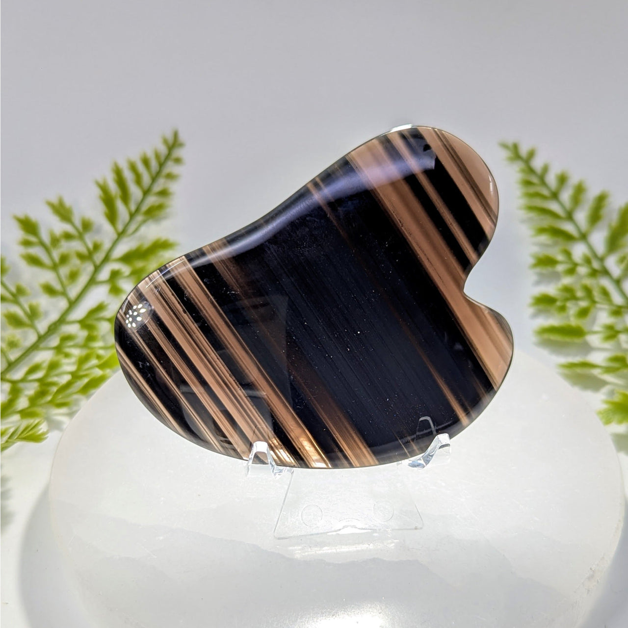 Polished banded agate guasha tool, Midnight Lace Obsidian 3.25in #BC0864