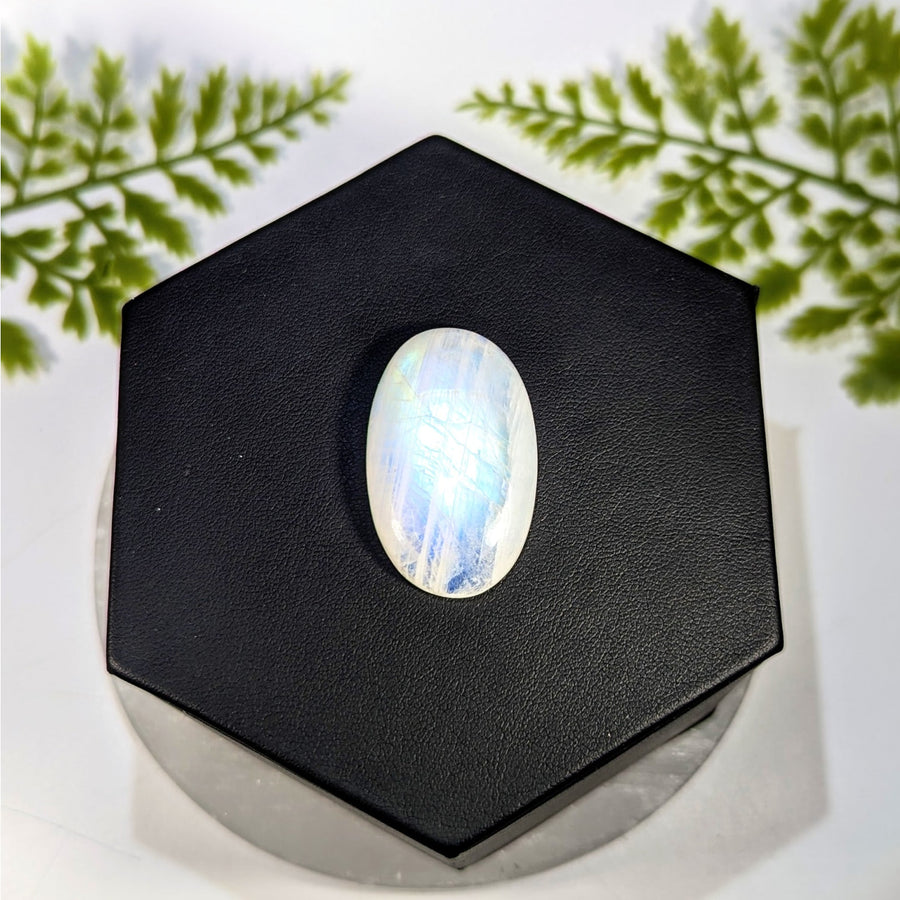 Moonstone  1.4" Blue Flash Cabochon #BC1541