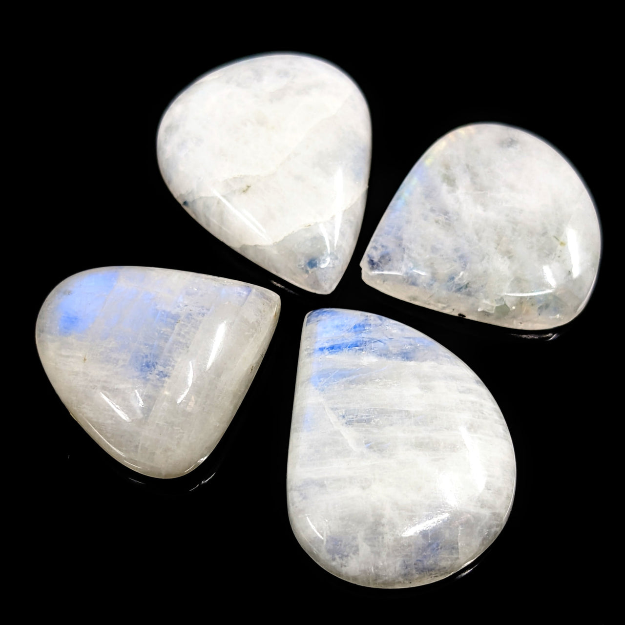 Moonstone .7-1’ Rainbow Cabochon #LV2451 with four white and blue stones arranged in a circle