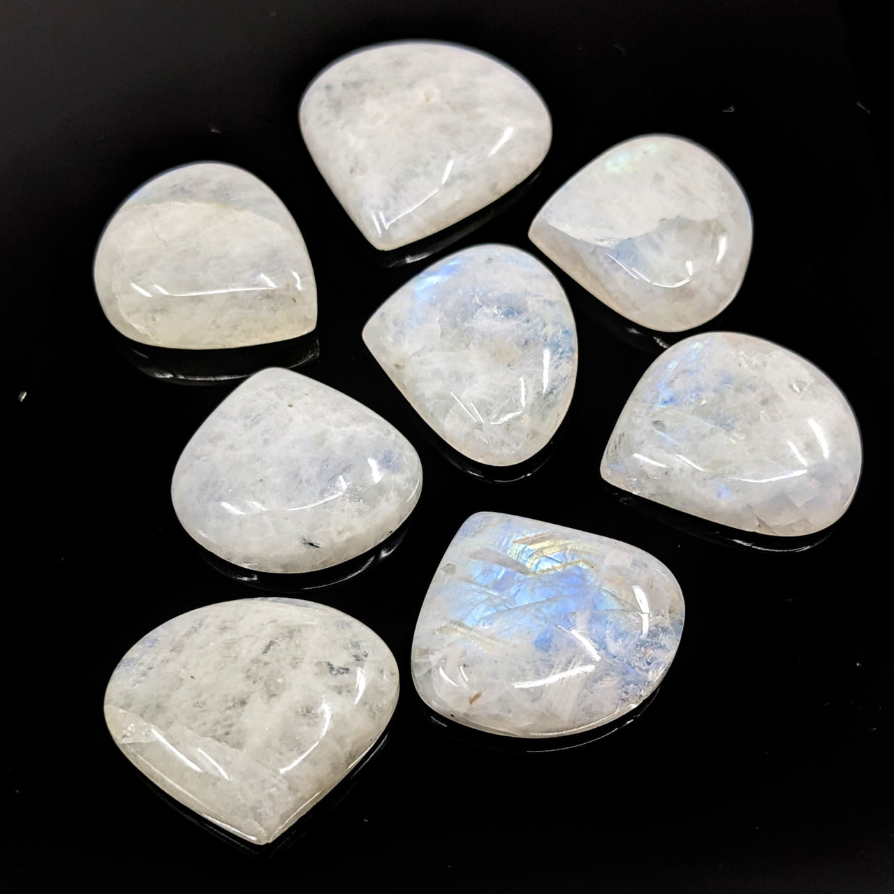 Moonstone .7-1’ Rainbow Cabochon #LV2451 - Close up of white rocks on a black surface