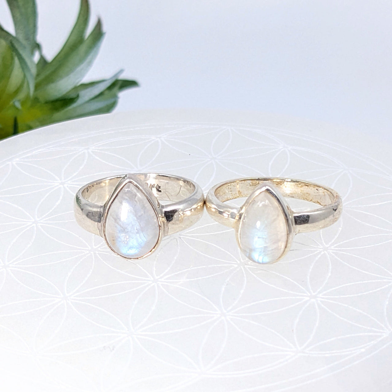 Two silver teardrop rings featuring stunning moonstone gemstones. Moonstone S.S. Teardrop Ring