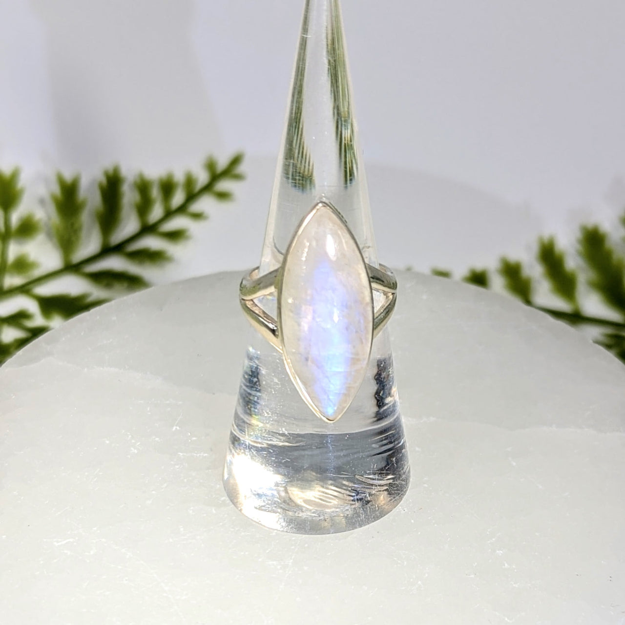 Moonstone Sz 7.5 Marquis S.S. Ring #BC1537
