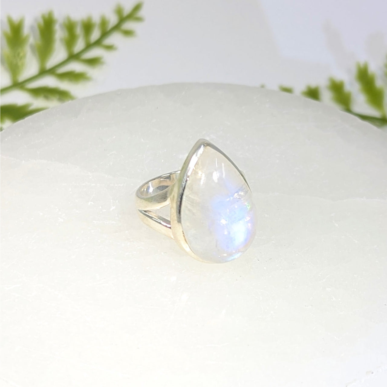 Moonstone  Sz 7.5 Teardrop Ring S.S. #BC1536