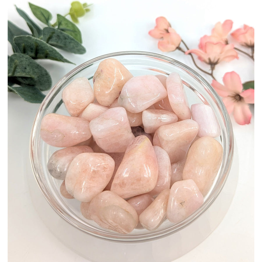 Morganite Tumbled #T347 - $11.95