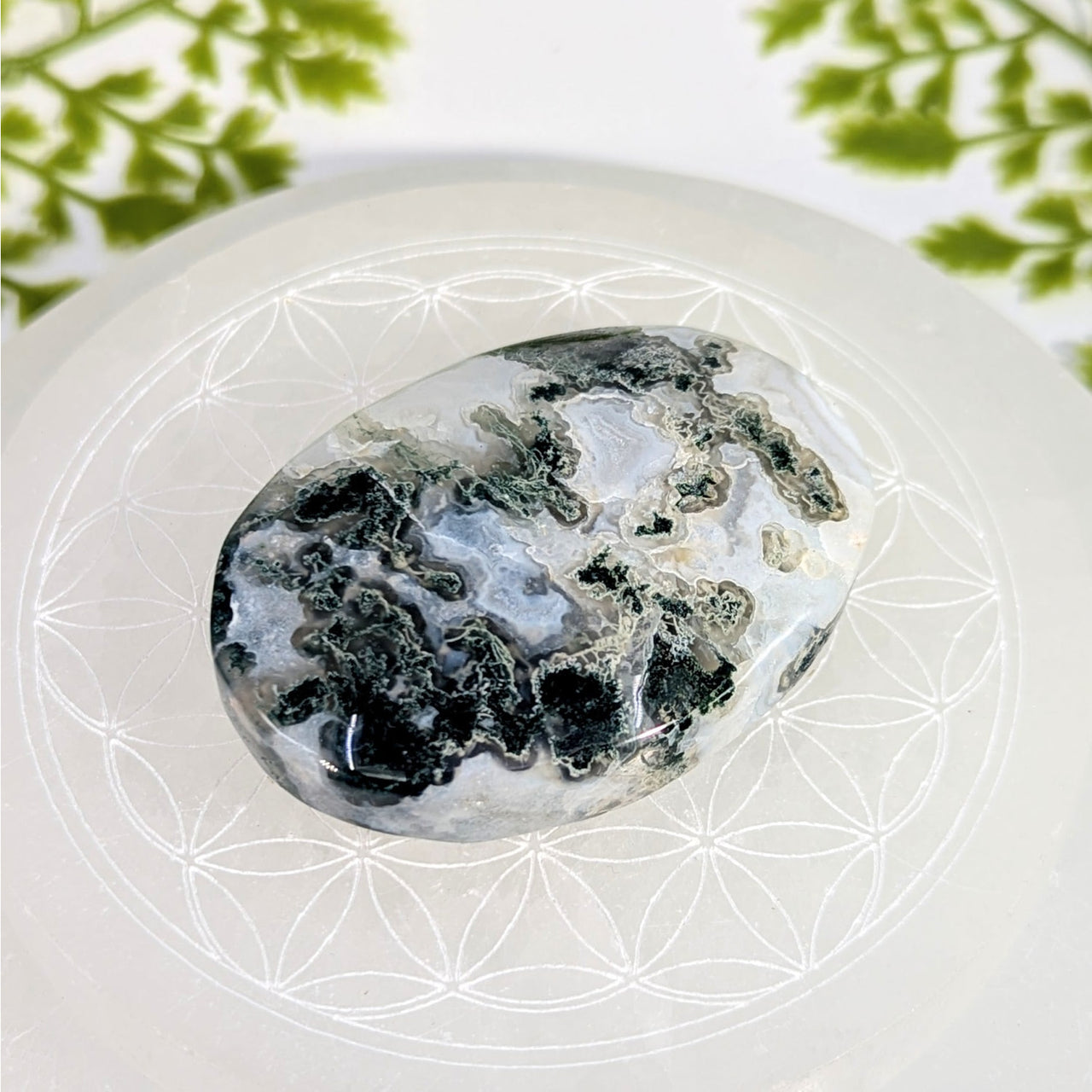 Polished 2.3in oval black white moss agate palm stone BC1206
