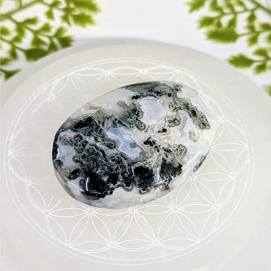 Polished 2.3in oval black white moss agate palm stone BC1206