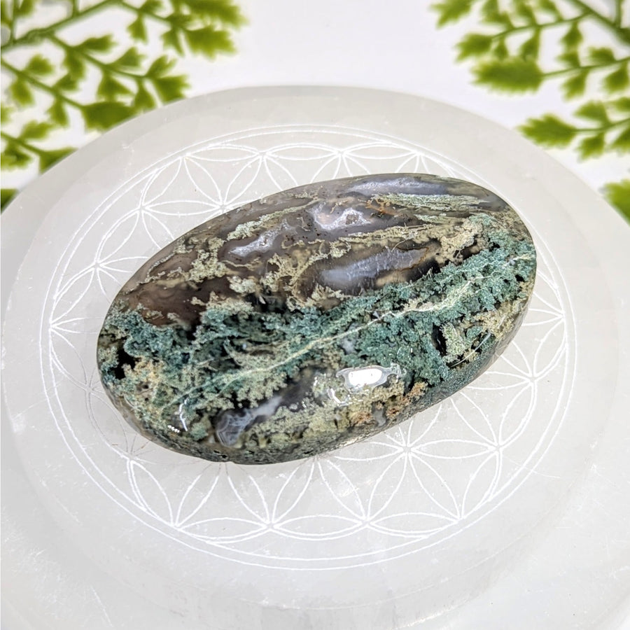 Polished 2.8-inch moss agate oval palm stone #BC1207 with green veining