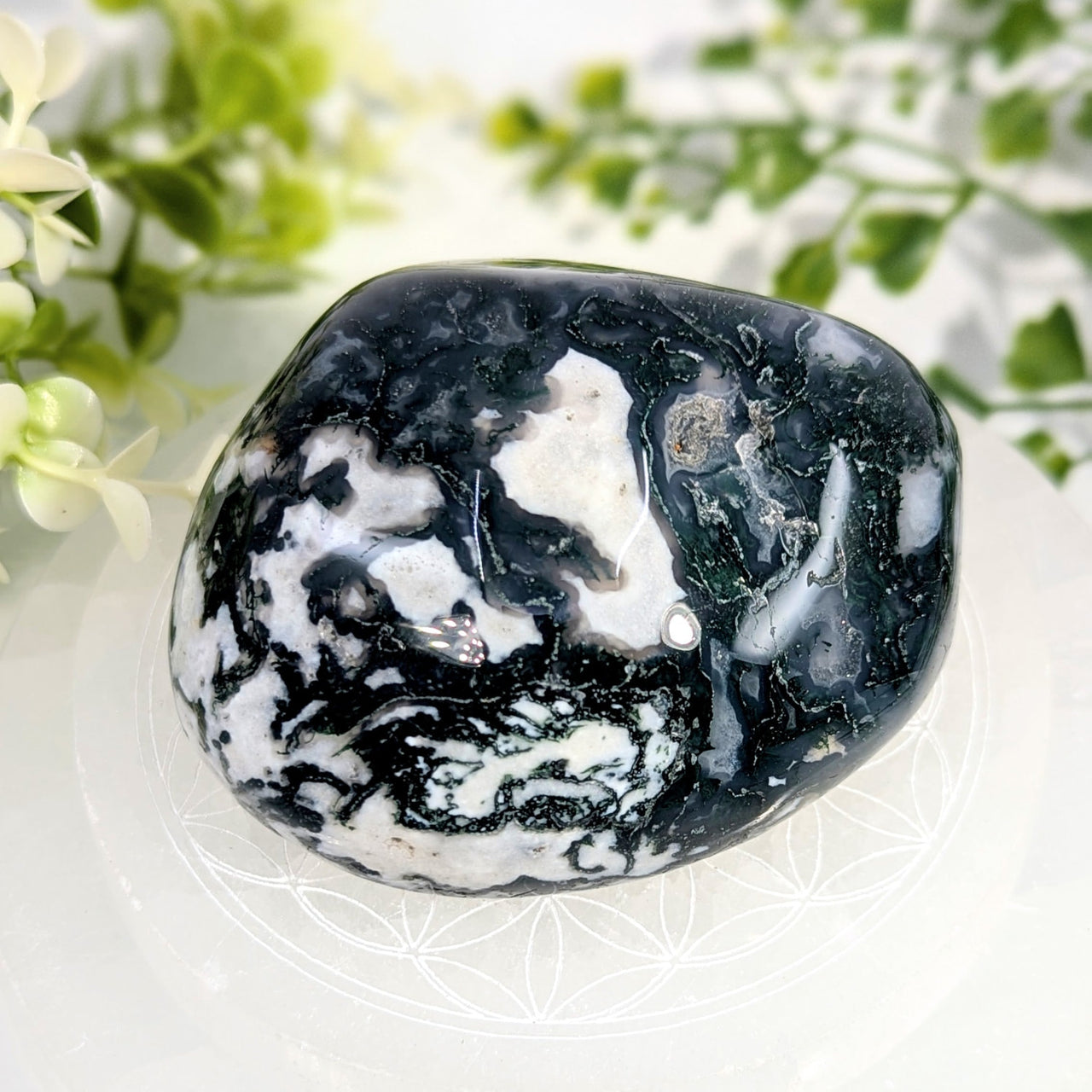 A polished black and white jasper moss agate energy stone with swirling patterns and smooth rounded edges 3.2 inches