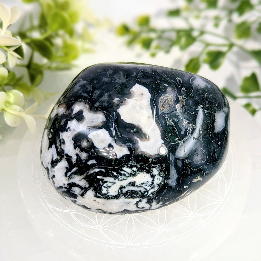A polished black and white jasper moss agate energy stone with swirling patterns and smooth rounded edges 3.2 inches