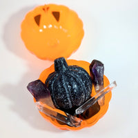 Mystery Pumpkin Mix - You Choose Size! #LV9963