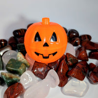 Mystery Pumpkin Mix - You Choose Size! #LV9963