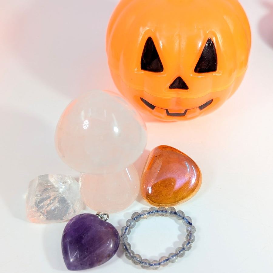 Mystery Pumpkin Mix - You Choose Size! #LV9963 - Mushroom