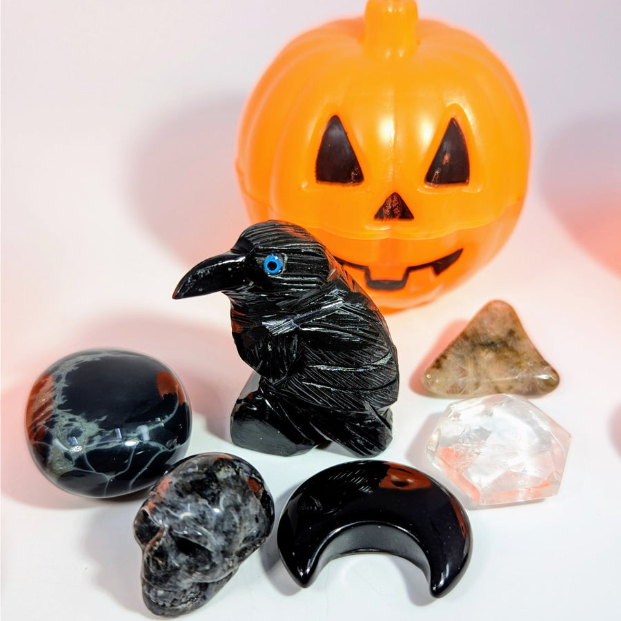 Mystery Pumpkin Mix - You Choose Size! #LV9963 - Raven Mix