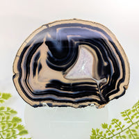 Natural Black Agate 6.2’’ Polished Slice #BC1251 with blue bands