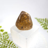 Natural Citrine 1.5’’ Polished Teardrop Specimen #BC1115