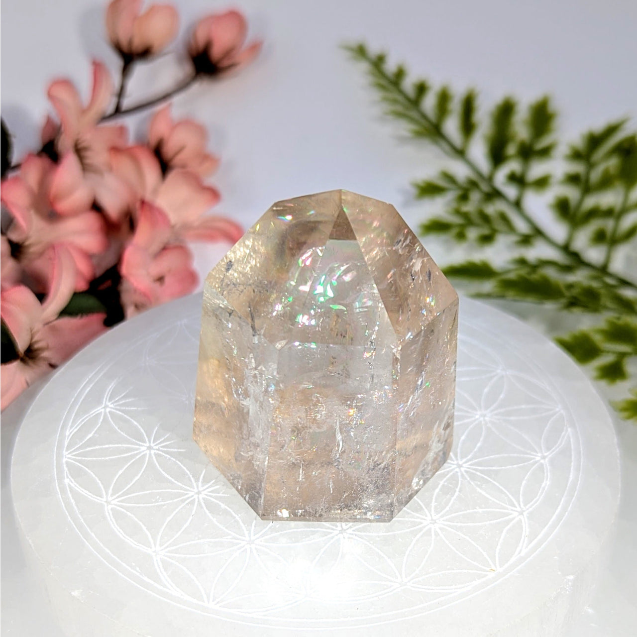 Natural citrine 2’’ generator from Brazil #BC0735 on selenite plate