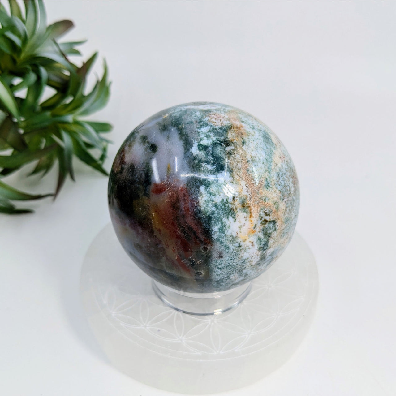 Polished Ocean Jasper 2.5-inch sphere with green, brown, and white swirling patterns