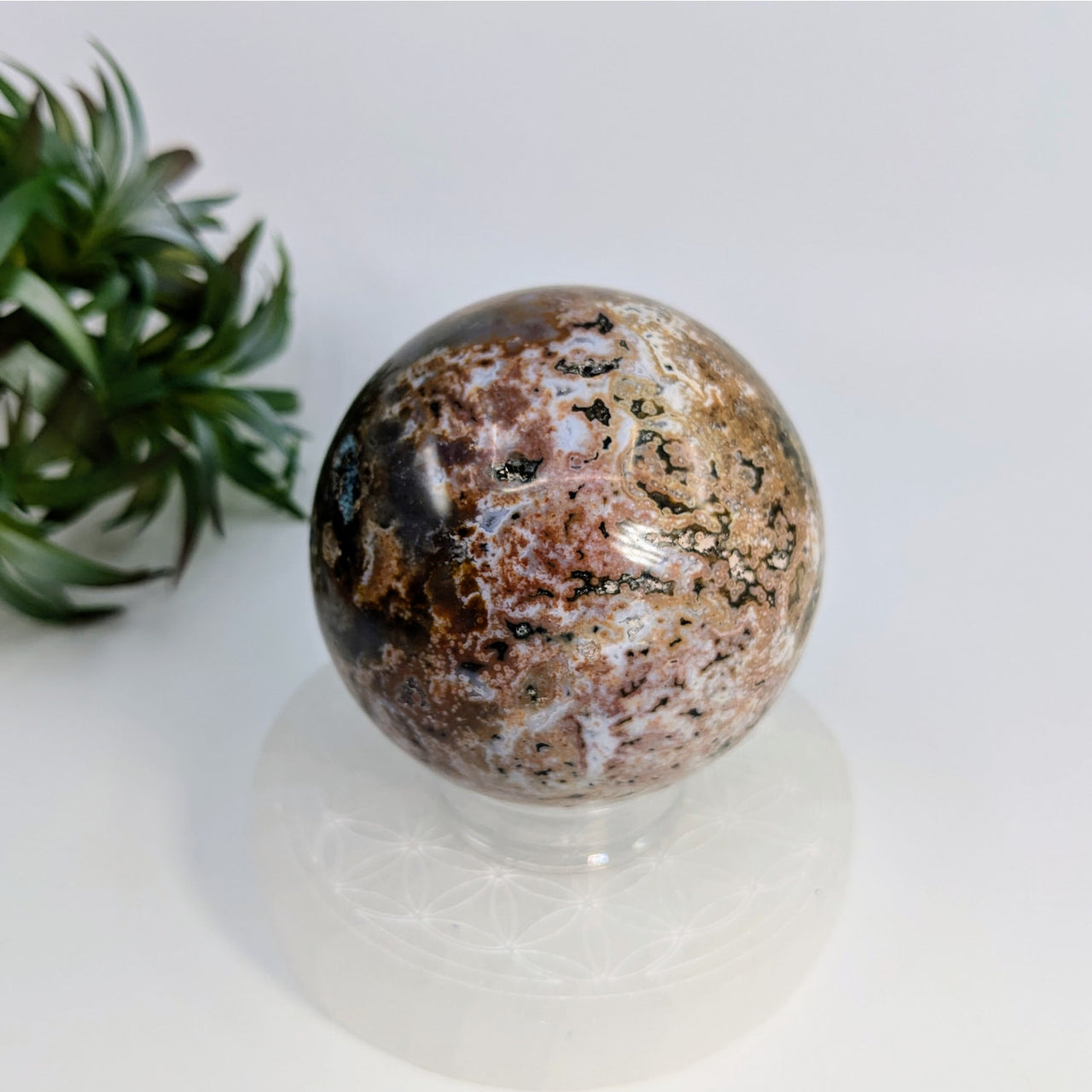 Polished Ocean Jasper sphere with brown, black, and white marbling patterns