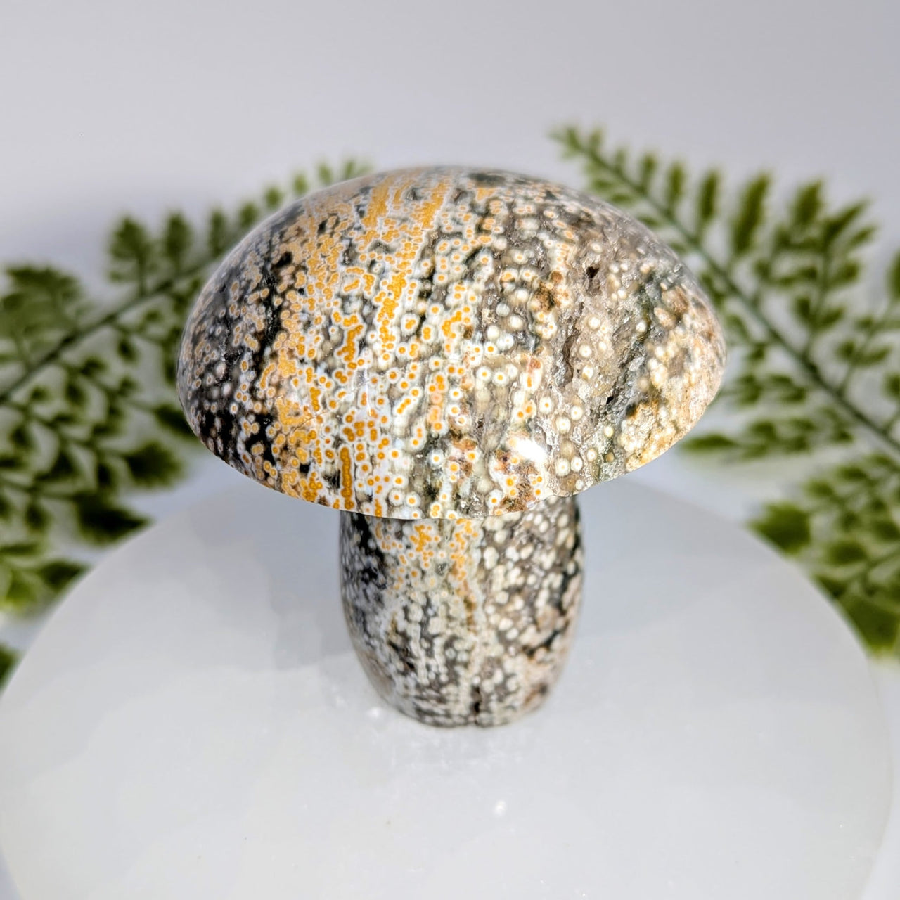 Ocean Jasper 2.9 inch mushroom carving #BC1035 with speckled black white orange veins