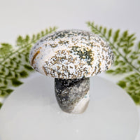 Ocean Jasper 2.9 inch mushroom carving with speckled crystals #BC1037