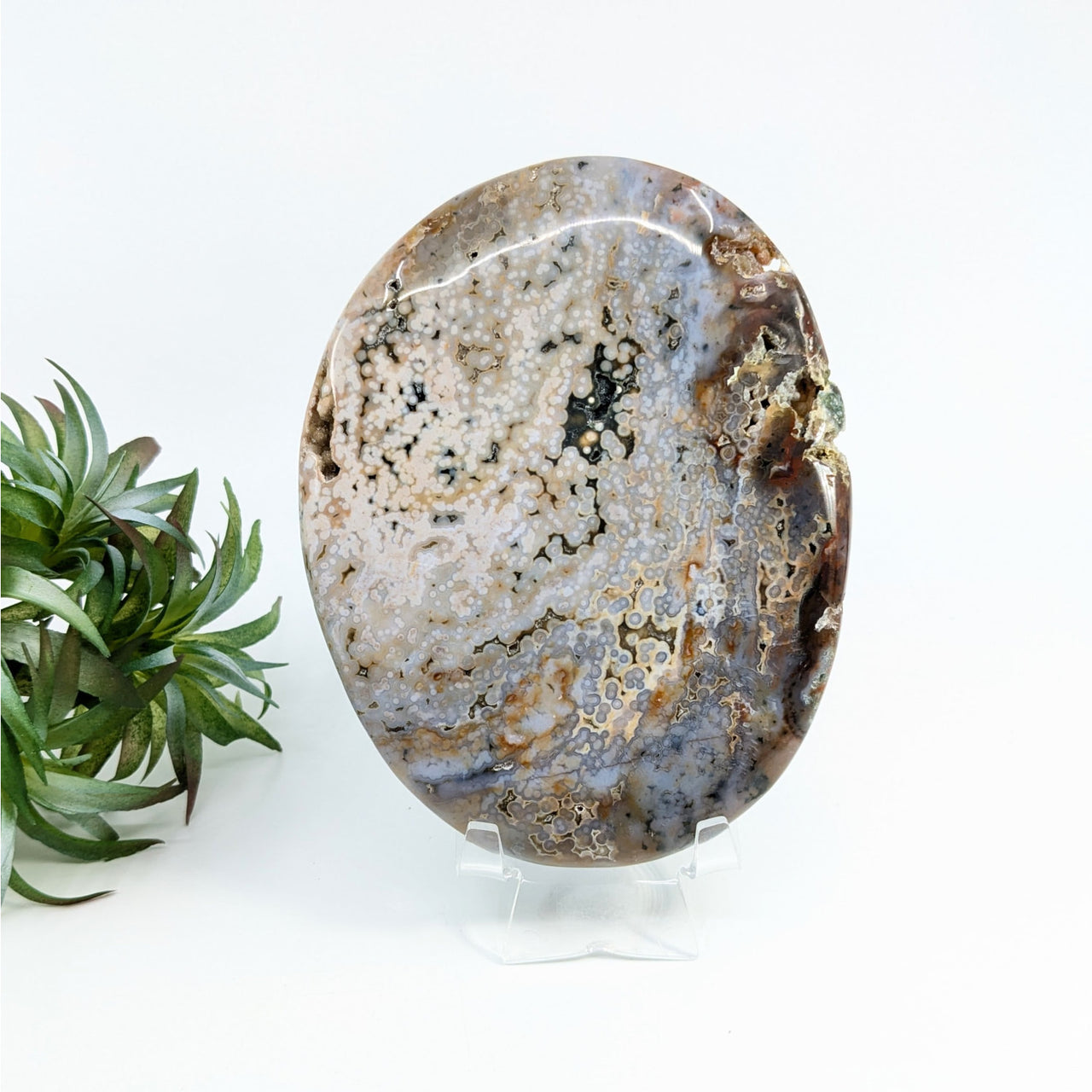 Ocean Jasper 5.4’’ Giant Polished Palm #LV6358 - $52