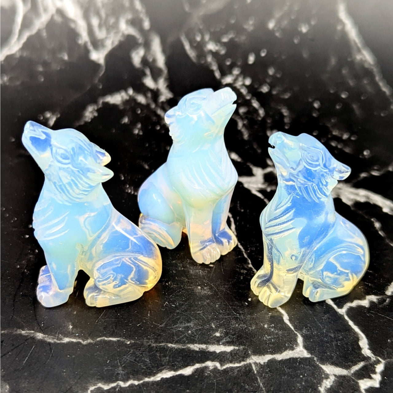 Three 1.75in opalite wolf carvings #BC0897 with blue-yellow iridescence