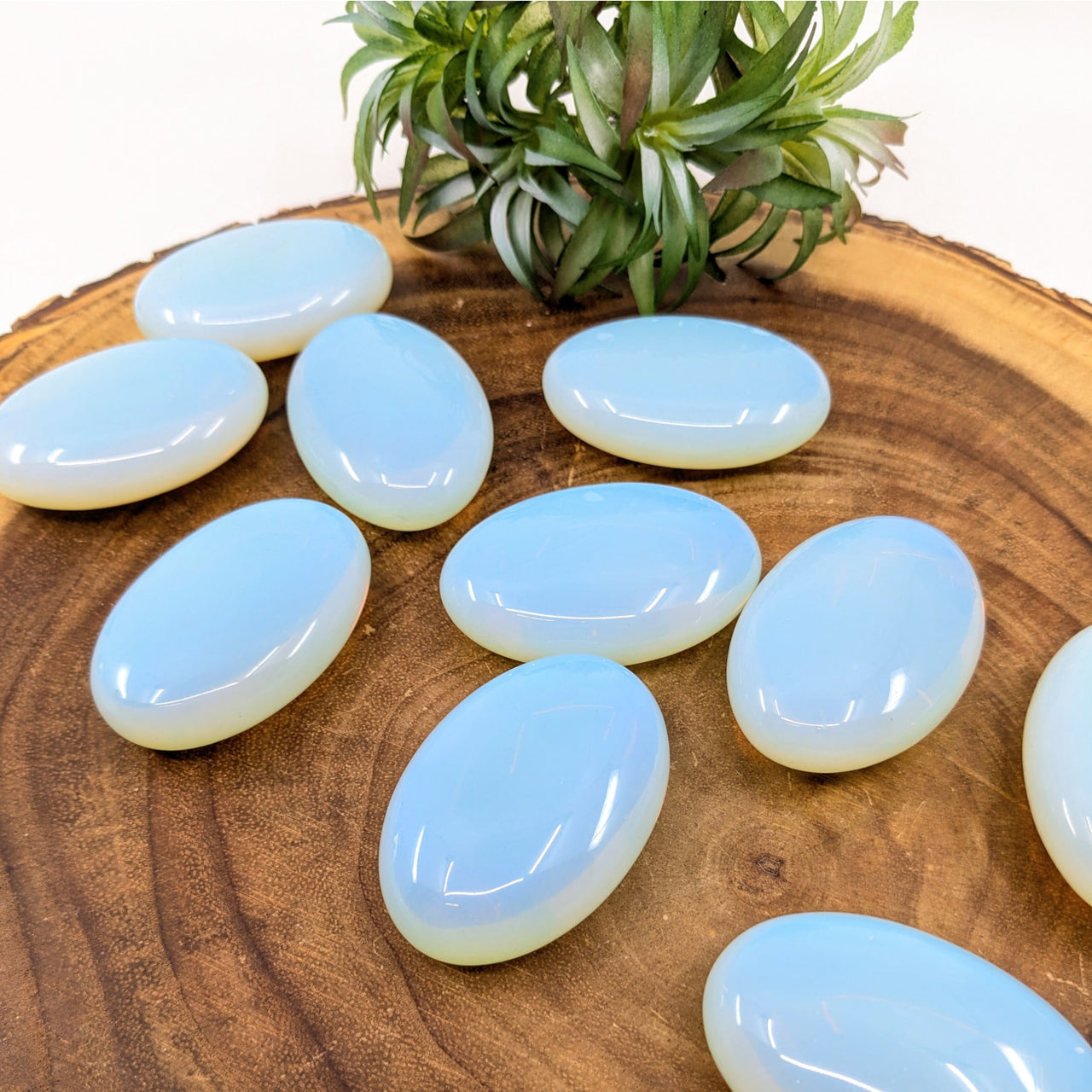 Opalite 2.3’’ Palm Stone #LV6284 - $14