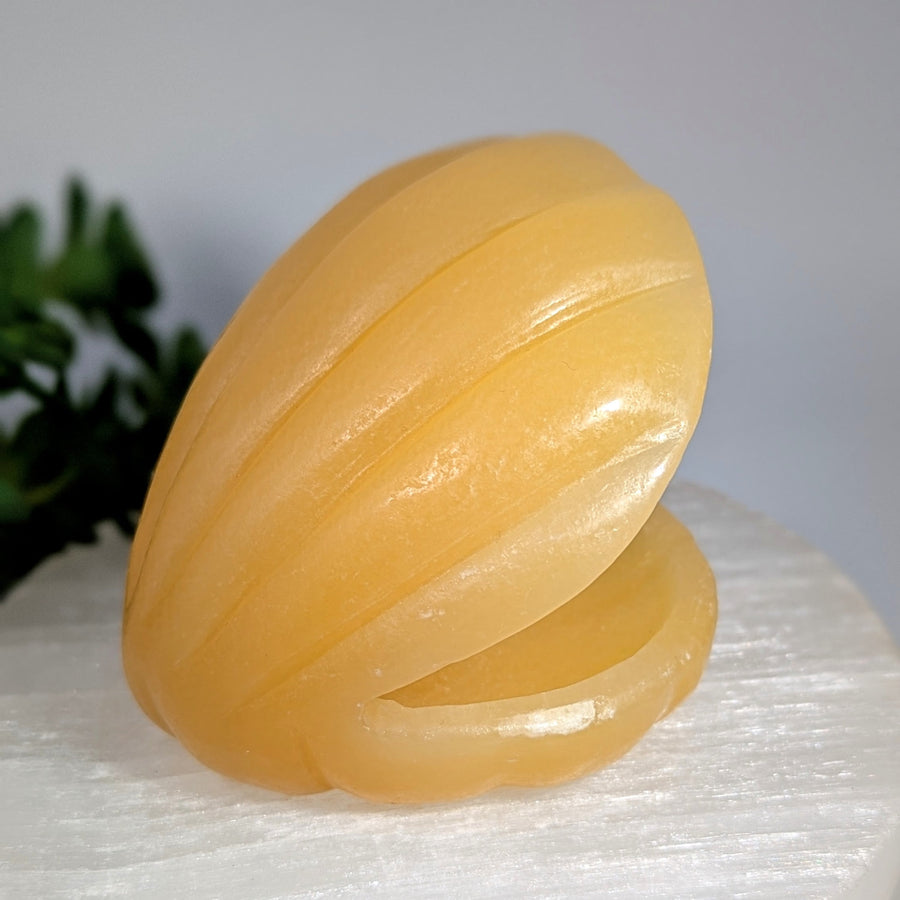 Orange Calcite 2.6-inch open clam shell carving with smooth translucent ridges