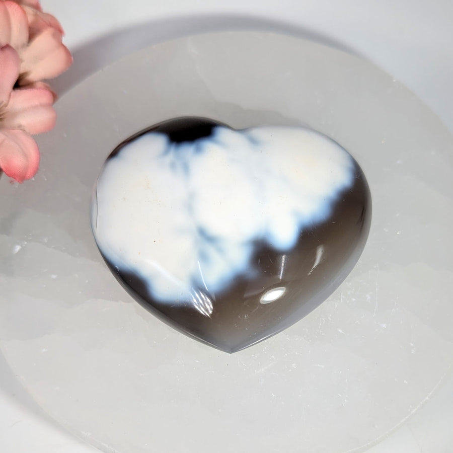 Glossy Orca Agate 2.5-inch heart-shaped stone with black and white swirls #BC0650