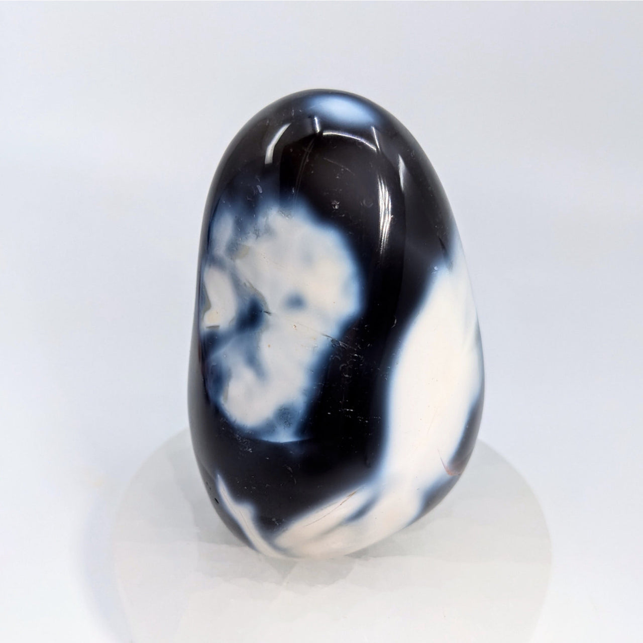 Orca Agate 3.6’’ Freeform #LV6553 - $48