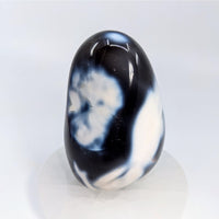 Thumbnail for Orca Agate 3.6’’ Freeform #LV6553 - $48