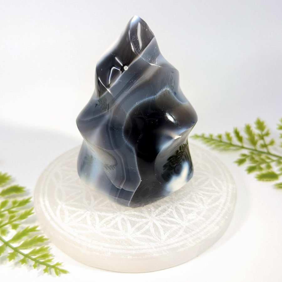 Polished black and white Orca Agate 3.9’’ Flame Freeform #BC1126