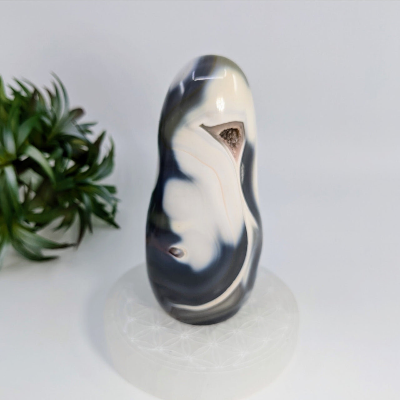 Curved Orca Agate sculpture with black and white marbled patterns for item tier benefits