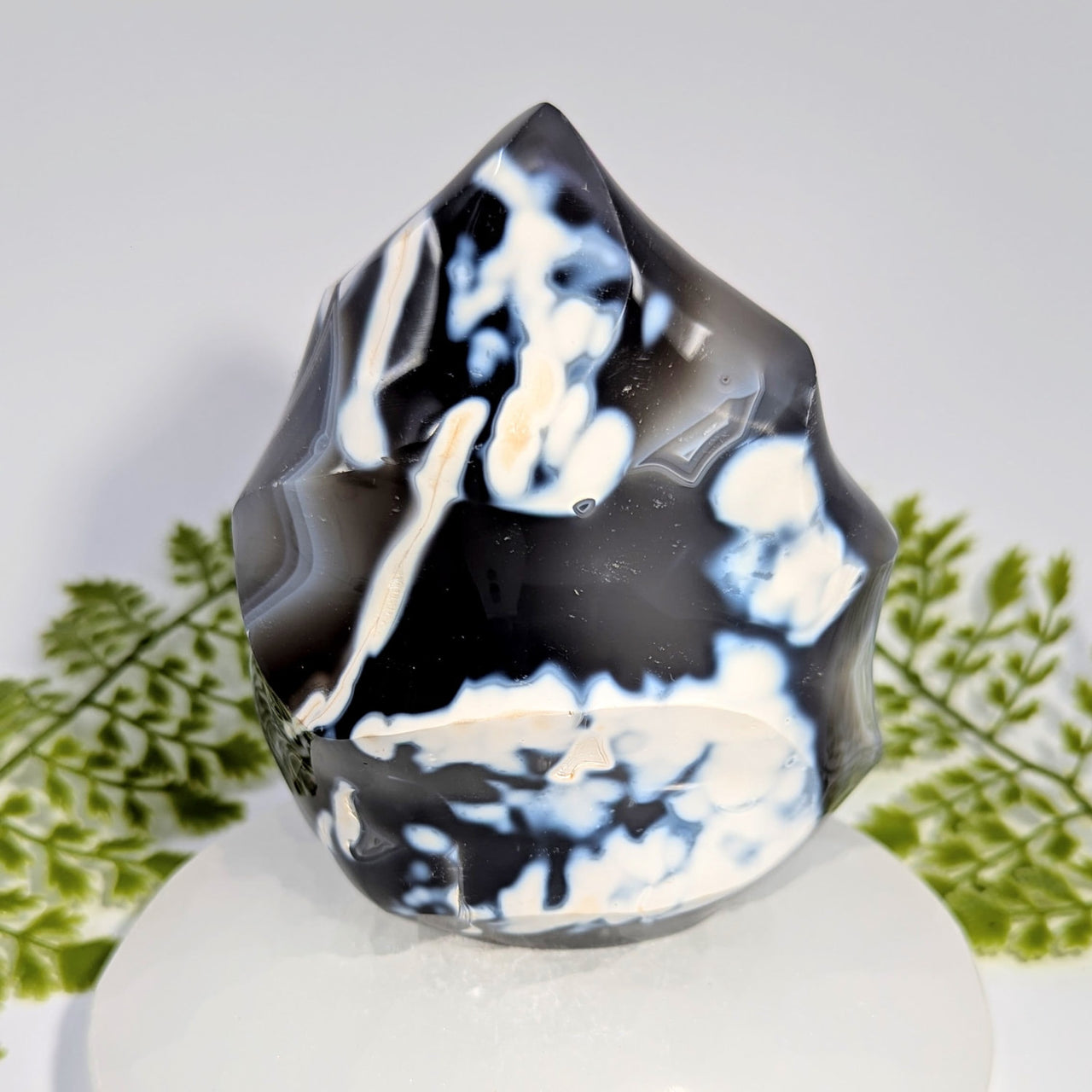 Polished black and white Orca Agate 5’’ flame freeform geode #BC1040