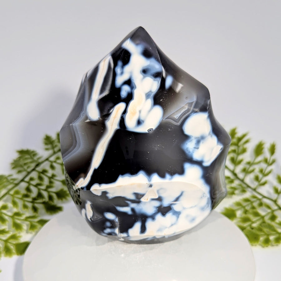 Polished black and white Orca Agate 5’’ flame freeform geode #BC1040