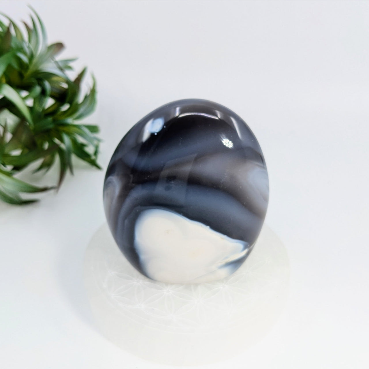 Polished black and white agate sphere in Orca Agate Freeform with swirling patterns