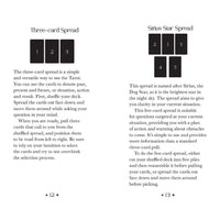 Oriens Animal Tarot Pocket Edition by Ambi Sun #LV3684