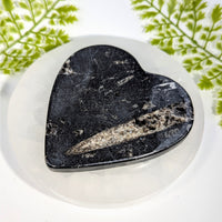 Polished black Orthoceras fossil 4’’ heart plate #BC0894 with silver-gray vein