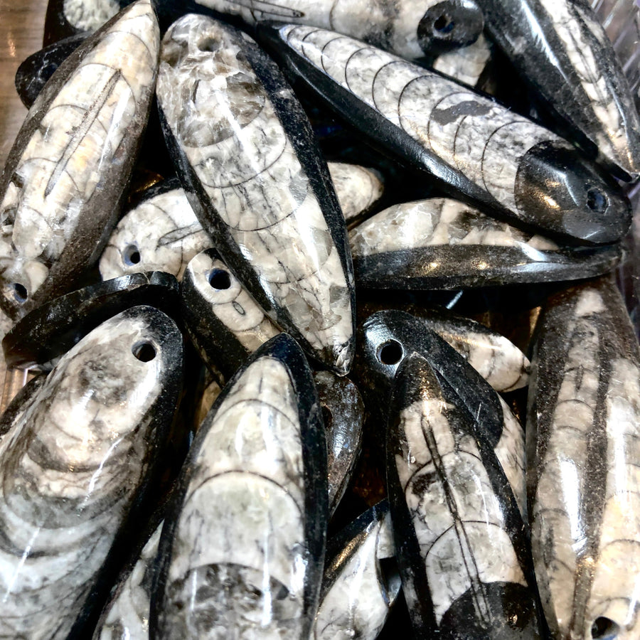 Orthoceras Pendant #F009 - $6.95