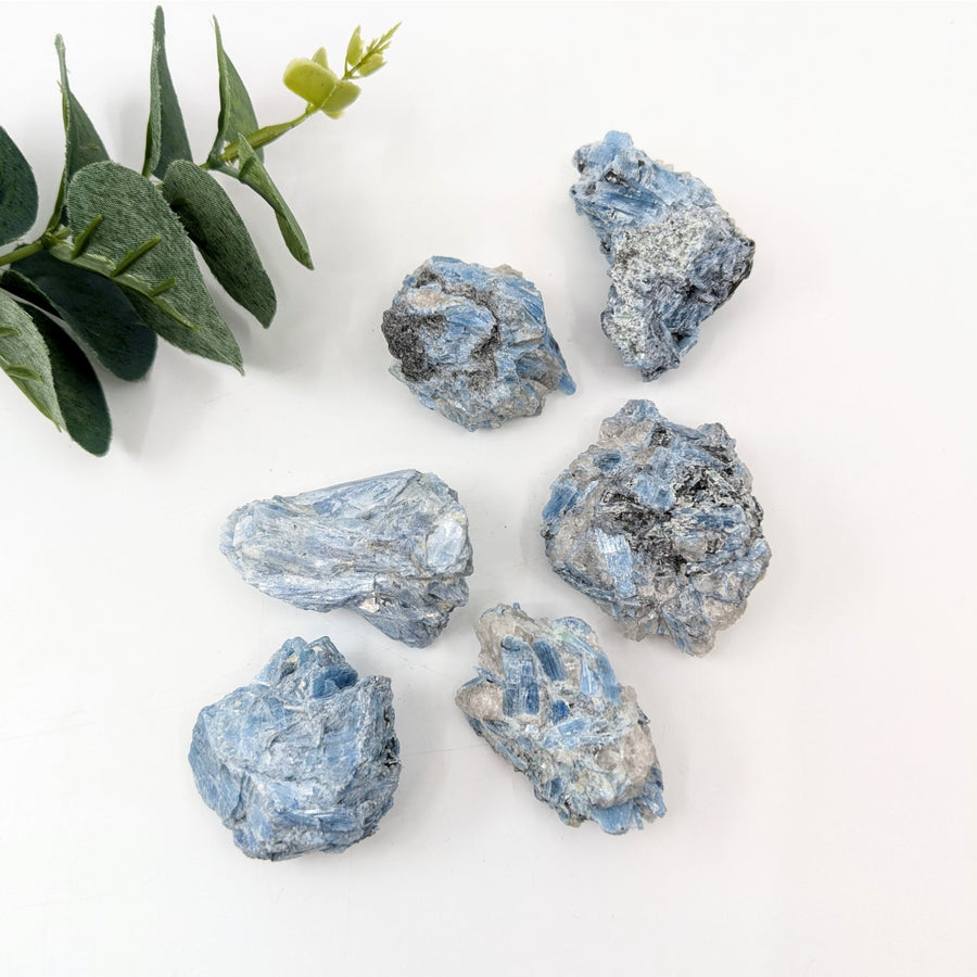 Paraiba Kyanite 1.2-2.3’’ Rough Specimen #LV6064 - $6.95