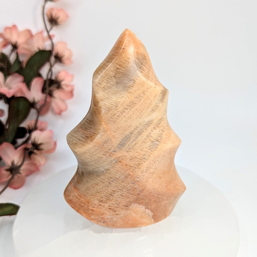 Peach-colored Crystal Tree from Peach Moonstone 4.3 Inch Flame Freeform #LV8024