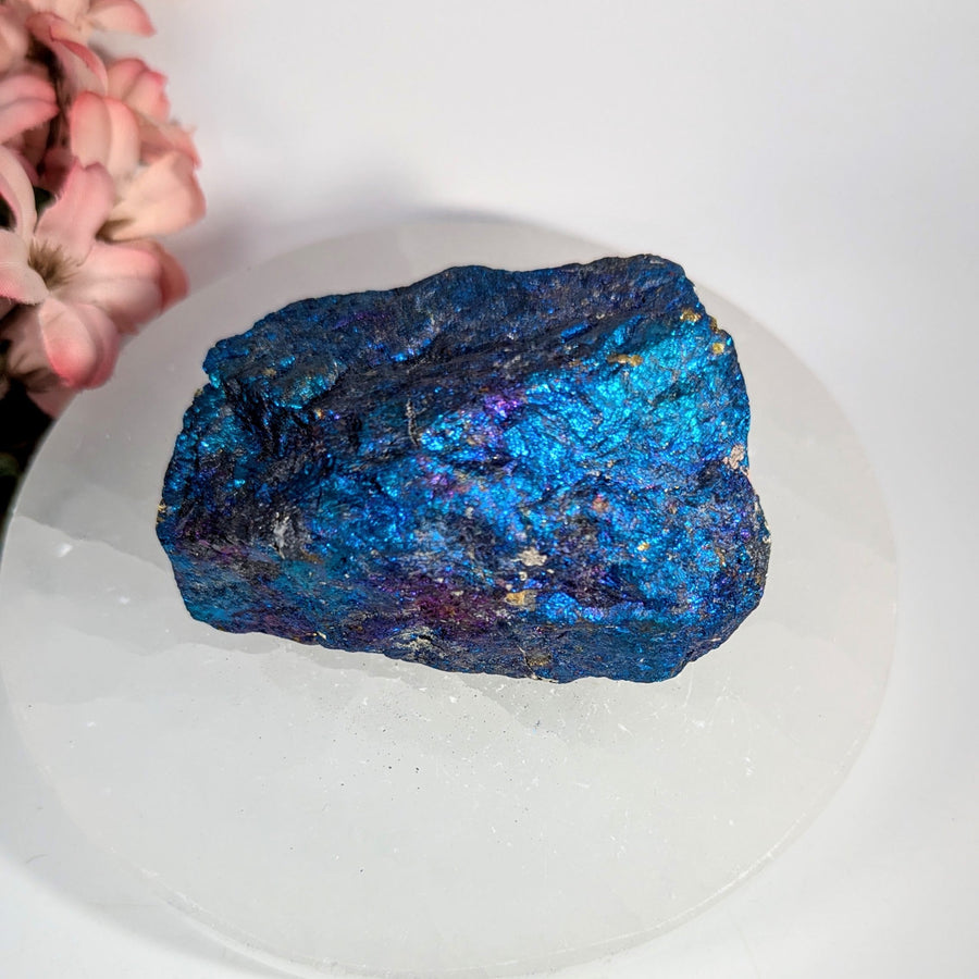 Vibrant iridescent blue peacock stone chalcopyrite rough 3 inch specimen #BC0656