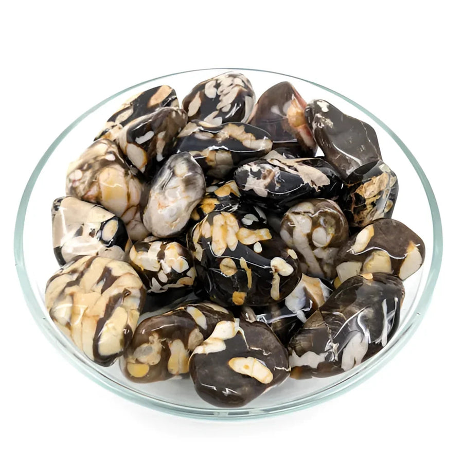 1 Peanut Wood Grade A XL Tumbled (24g) #SK6325