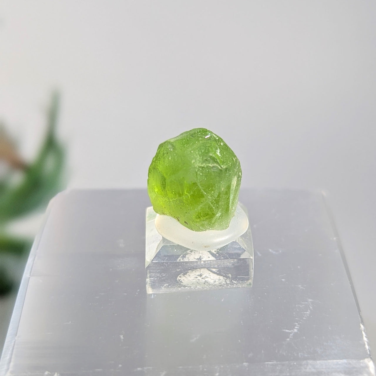 Peridot.6’’ Mini Specimen on Base #LV9259 - $98