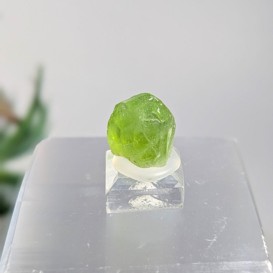 Peridot.6’’ Mini Specimen on Base #LV9259 - $98