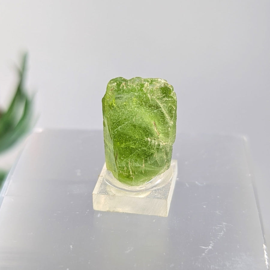 Peridot.7’’ Mini Specimen on Base #LV9257 - $98
