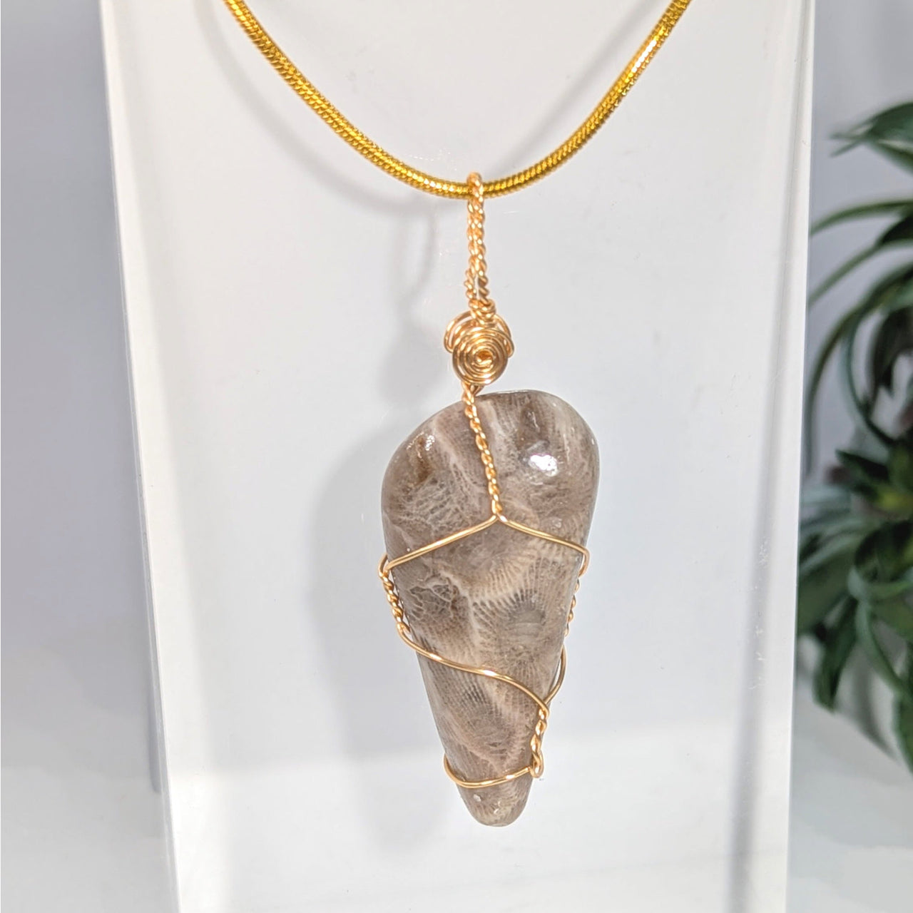 Petoskey Stone 1.6’’ Wire Wrap Pendant #LV9950 - $65