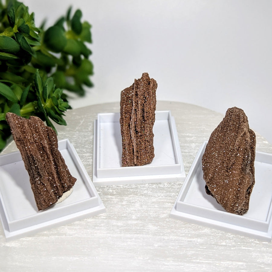 Three brown glittery petrified wood specimens, 1.3-1.5in, #BC0624