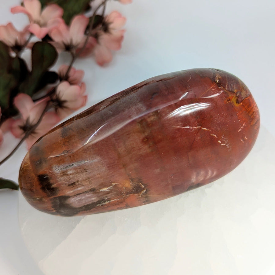 Polished reddish-brown petrified wood pebble from Petrified Wood 4.2 inch collection